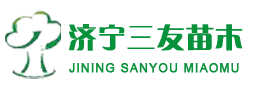logo